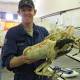 Mammoth crab found at Brisbane seafood outlet 