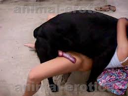 Wife fuck dog in front of husband porn video girl gets it good jpg x Dog fucks