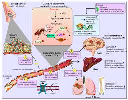 go ah ra fake nude|•••