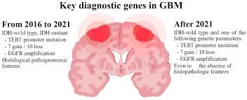 go ah ra fake nude|On vasa vasorum: A history of advances in understanding the vessels of  vessels | Science Advances