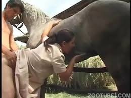 Eeb a eb horse fuck mature woman pussy of married woman drilled horse cock jpg x Lady fucks horse