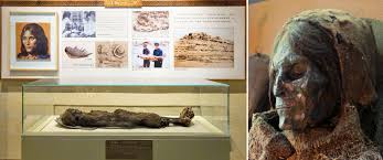 解剖女尸画像|Steam模擬器+1《驗屍模擬器》還原超寫實解剖過程，解開無名女屍之謎| 4Gamers