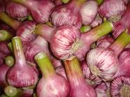 ail violet