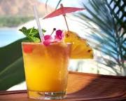 images?q=tbn:ANd9GcRMlWpbkoItcUegjxOw9uhijMI2Em0XPyqhjqcnYL1VEiooyN9utV18jsjF