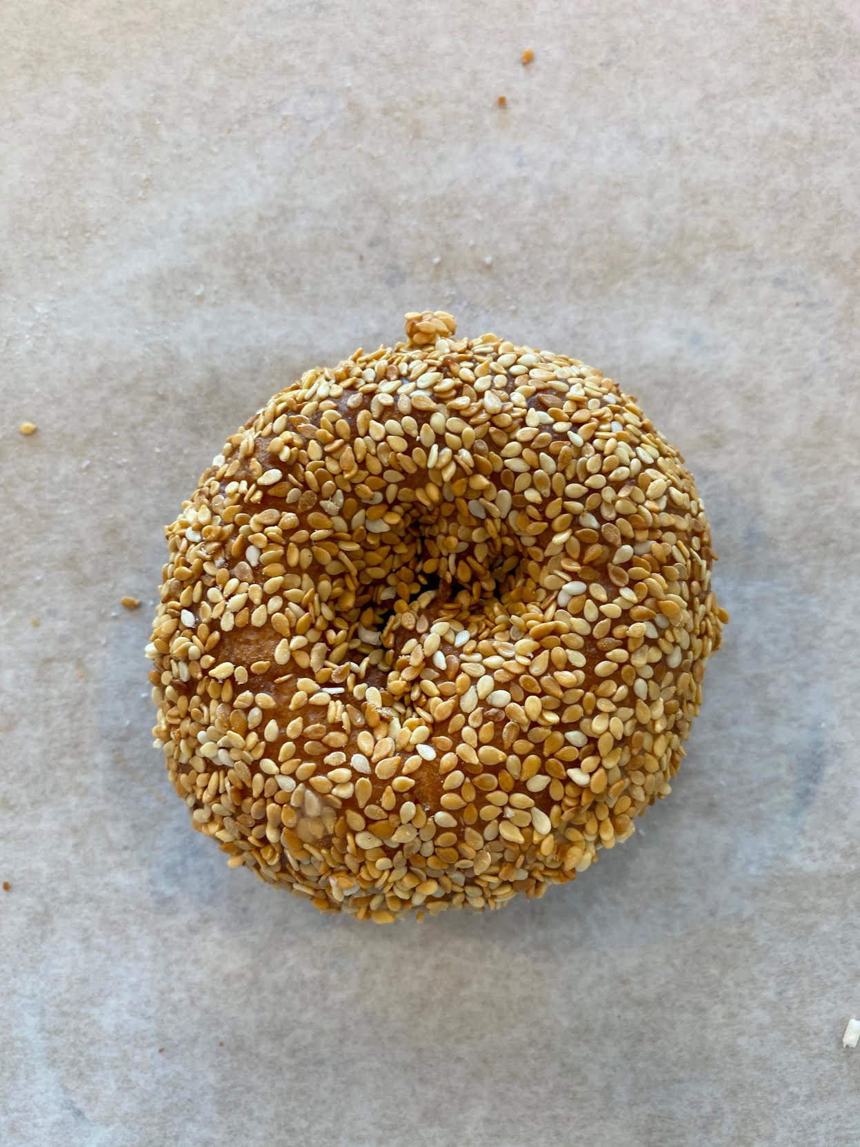 Sesame Donuts by null