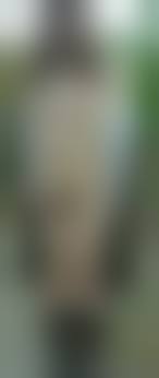 熟女画像掲示板 無修正|スケベな熟女 | みんなのエッチ画像投稿掲示板