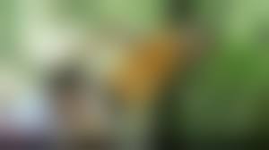 men gay fuck porn|Real man dick, a gay porn by Cazzofilm