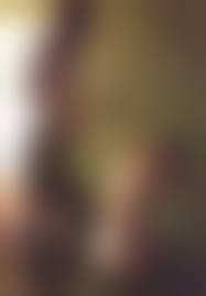 David Hamilton nude collection |David Hamilton | Female Nudes (Circa 1980) | MutualArt