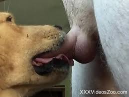 Extreme scenes of sex with various animals ⋆ jpg x Sex with animals