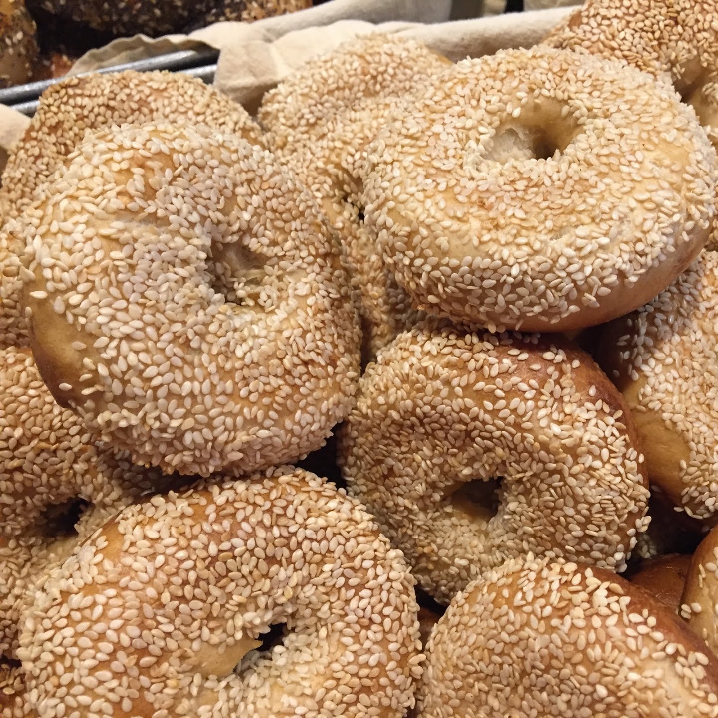 Bagel Uprising by null