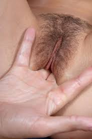 Fingering pussy big natural hairy bush jpg x Hairy pussy fingering
