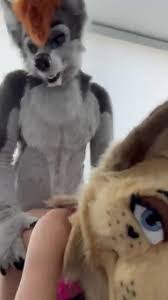 Furry porn games jpg x Fursuit sex