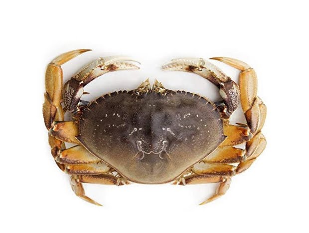 Lam's Seafood Asian Market by null