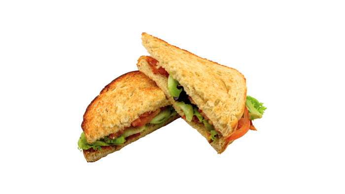 Fuel America by null