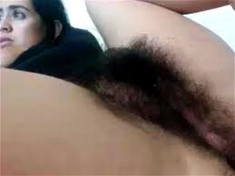 Hairy pussy porn pics megatube jpg x Hairy pussy xxx