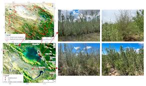 ls land image nude - 25