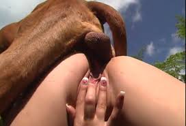 Veronica selesto socks party fucking dog thumbnail jpg x Women fucking dogs