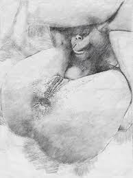 While sleeping anal jpg x While sleeping anal