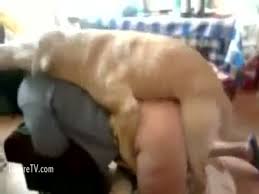 Horny mom fuck with dog jpg x Mom fuck dog
