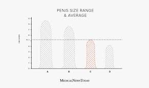 Normal size dick jpg x Normal size dick
