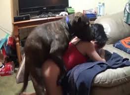 Chained asian hottie bangs with a brutal black dog in the missionary pose jpg x Asian fucks dog