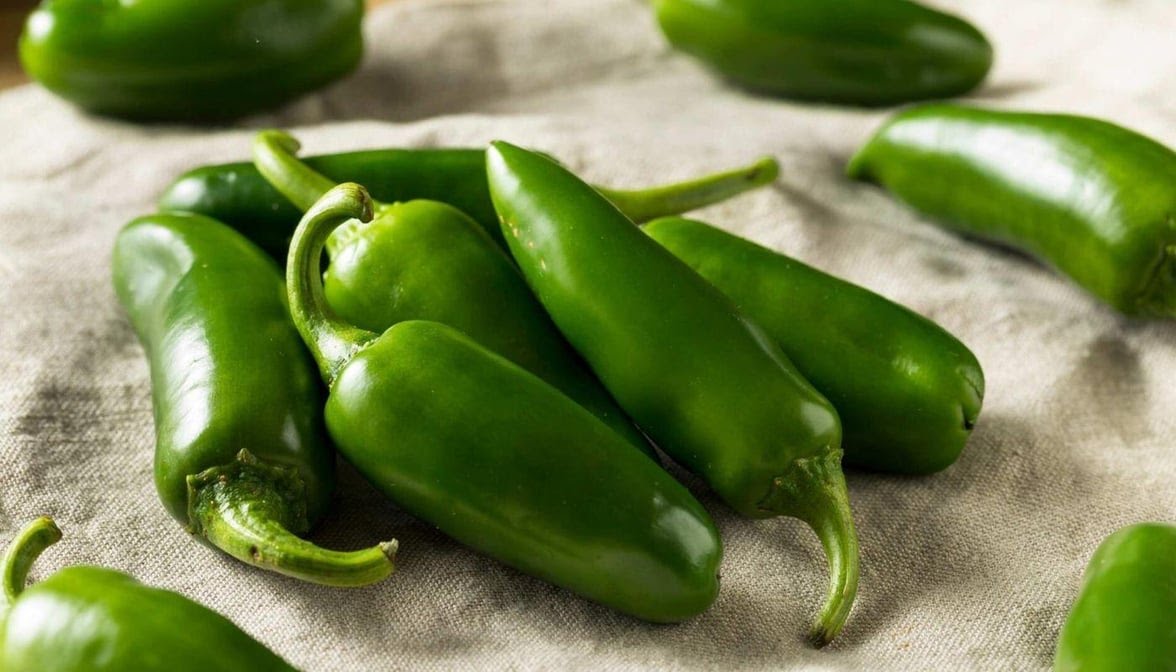 The Great Outdoors Sub Shop by null