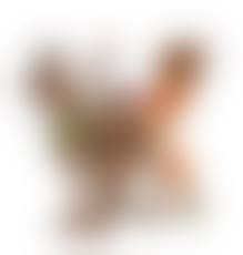 zoo porn|La PerritaZoo – ArtOfZoo – Home of Animal Porn