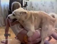 Woman have sex with dog extreme porn video luxuretv jpg x Girl having sex with dog