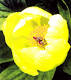 See full size image