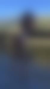 dog fuck pussy amour angels|Dog Fuck Porn Pics & XXX Photos - LamaLinks.com