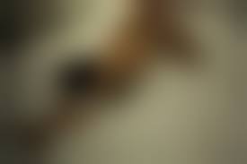 ・xusenet.com alt.binaries.pictures 21|Gitta Blond: Foxy blonde gal Gitta Blond... - Babes and Pornstars