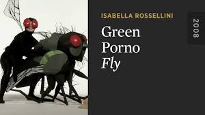 Flesh porn jqzkas elalb jpg x Of flys