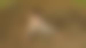 naked slaved me|Slave Girl Living Quarters naked Thai Bitches 8 by Superstar-Status on  DeviantArt