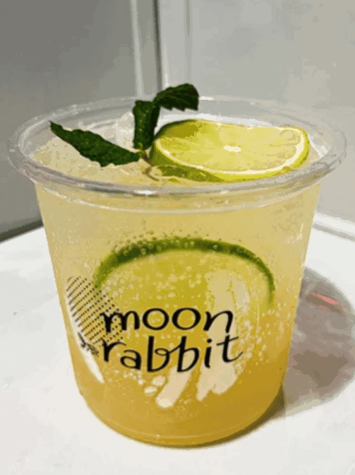 Moon Rabbit by null