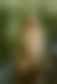 外人　直立　ヌード|全てにおいてパーフェクトな金髪外人美女の全裸画像ｗ