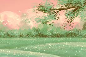 Miss teen nudist 2001|Fox News