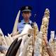 China Bans Its Ivory Trade, Moving Against Elephant Poaching 