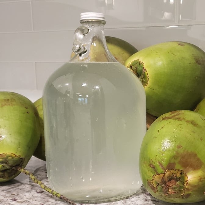 Cane & Coconut by null