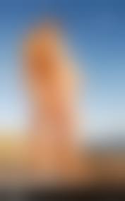 pure nudist couple|Couple Reveal How They Had A Naked Wedding – Complete With A Nude Officiant  - Comic Sands