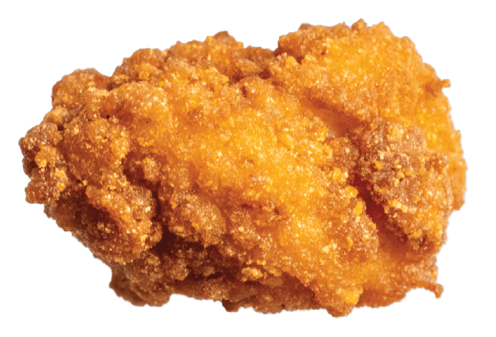 The Nugget Spot by null