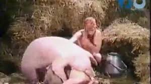 Pig fucking jpg x Pig fucking