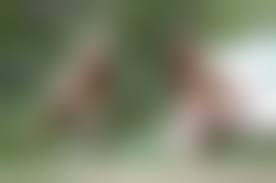 group nude |Coed naked groups アダルト画像、セックス画像 #1526471 - PICTOA