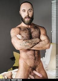 Hairy bear jpg x Hairy bear