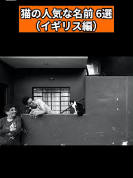 tokyohot 1626|Tokyolagii Eksklusif Hot | TikTok