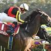 【毎日王冠】３歳シュネルマイスター 古馬一蹴Ｖ 直線豪脚一気 ...
