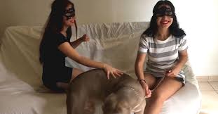 Video de mujeres hombres con perros jpg x Teniendo sexo con perros
