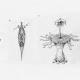 Aliens may be more like us than we think 