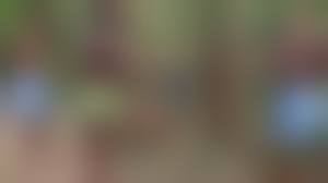 africa tribe s man cock|I Have Jungle Fever - XVIDEOS.COM