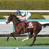 【チューリップ賞レース後コメント】ナミュール横山武史騎手ら ...