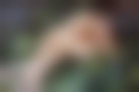 brooke shields naked|